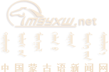 mnp_logo