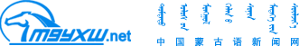 mnp_logo