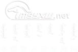 mnp_logo