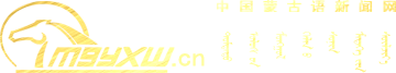 mnp_logo