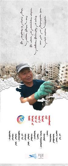 黑木耳_11.jpg
