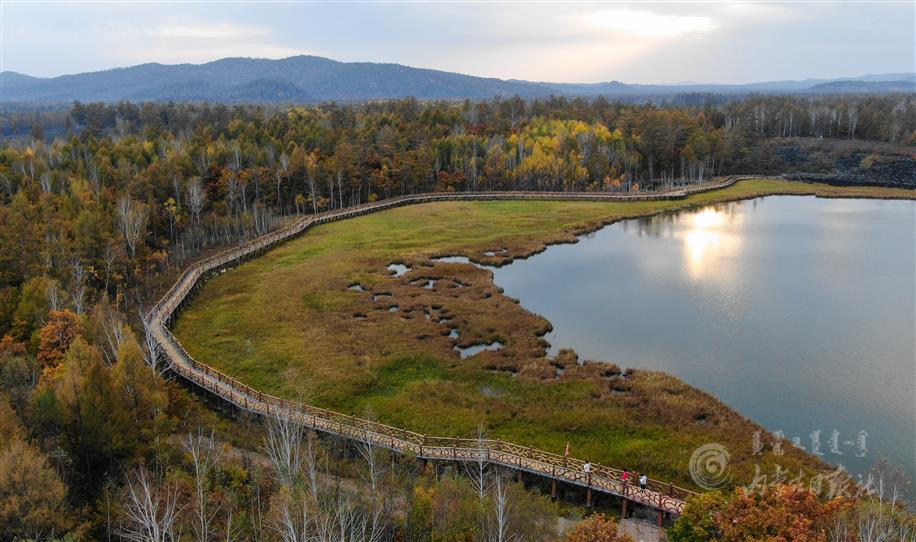 downLoad-20201009102917.jpg downLoad-20201009102917.jpg