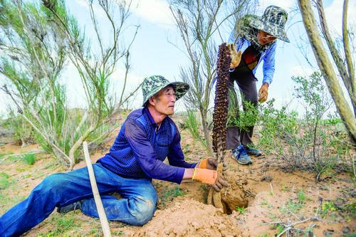 untitled.png untitled.png