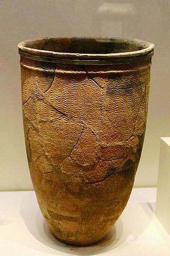 3820126_lity_1609144715128_m.jpg