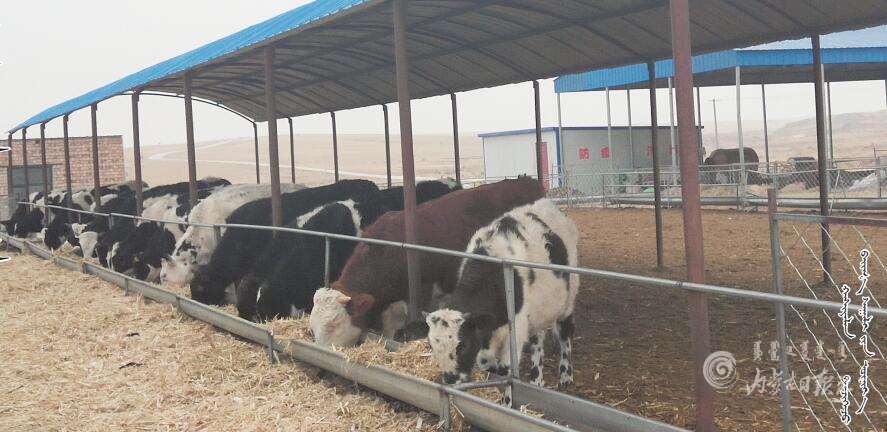 QQ截图20210110101412.jpg QQ截图20210110101412.jpg