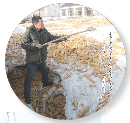 QQ图片20210111101156.png QQ图片20210111101156.png