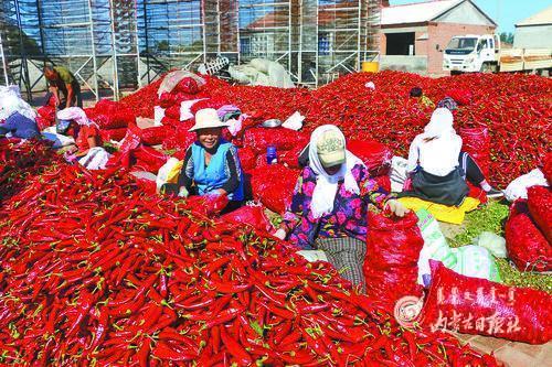 3889090_lity_1614352554373_m.jpg 3889090_lity_1614352554373_m.jpg