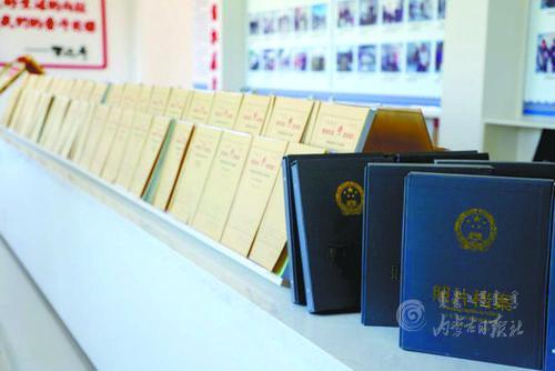 3889084_lity_1614352515681_m.jpg 3889084_lity_1614352515681_m.jpg