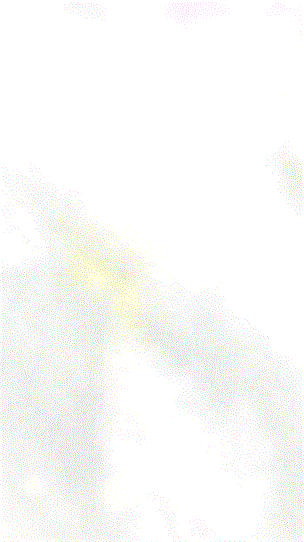 生日.gif
