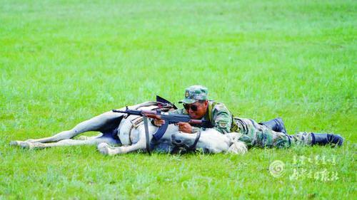 4041760_lity_1626248844415_m.jpg 4041760_lity_1626248844415_m.jpg