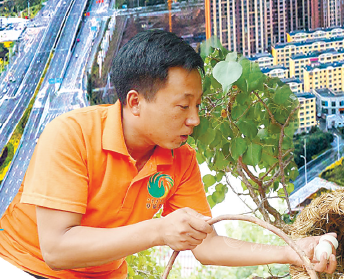 QQ图片20210728100207.png QQ图片20210728100207.png