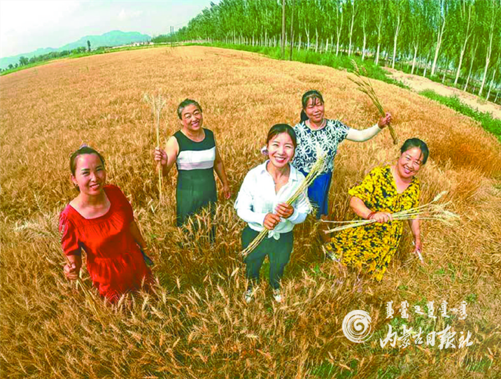 QQ截图20210730153057.png