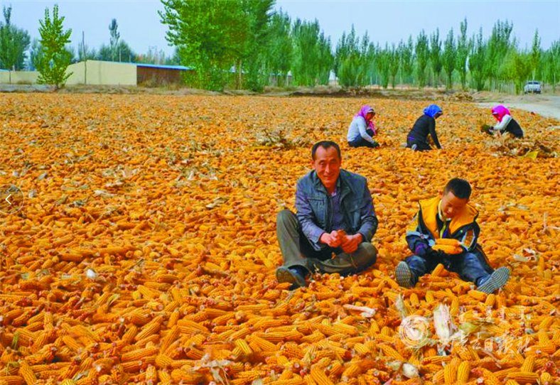 QQ截图20210730151513.png QQ截图20210730151513.png