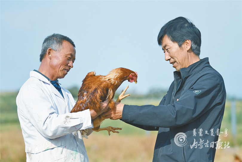 QQ图片20210809101920.png QQ图片20210809101920.png