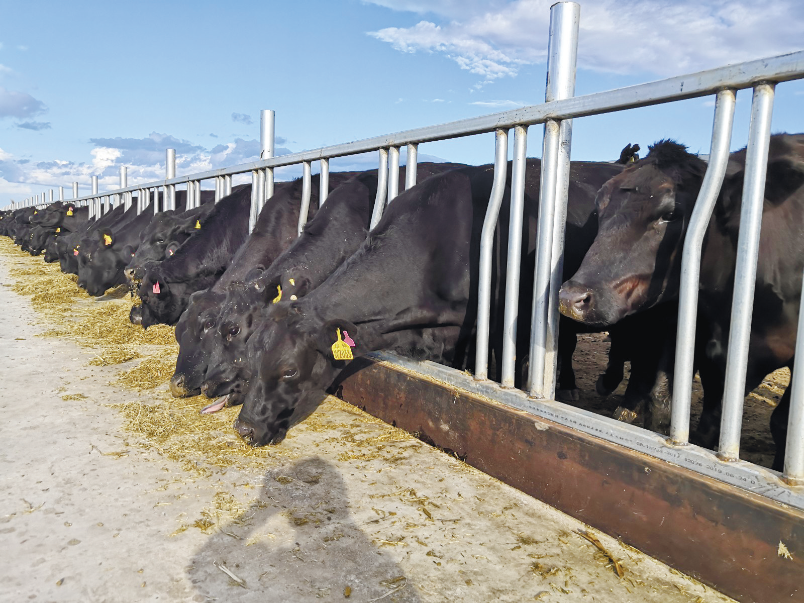 QQ图片20211019091335.png QQ图片20211019091335.png