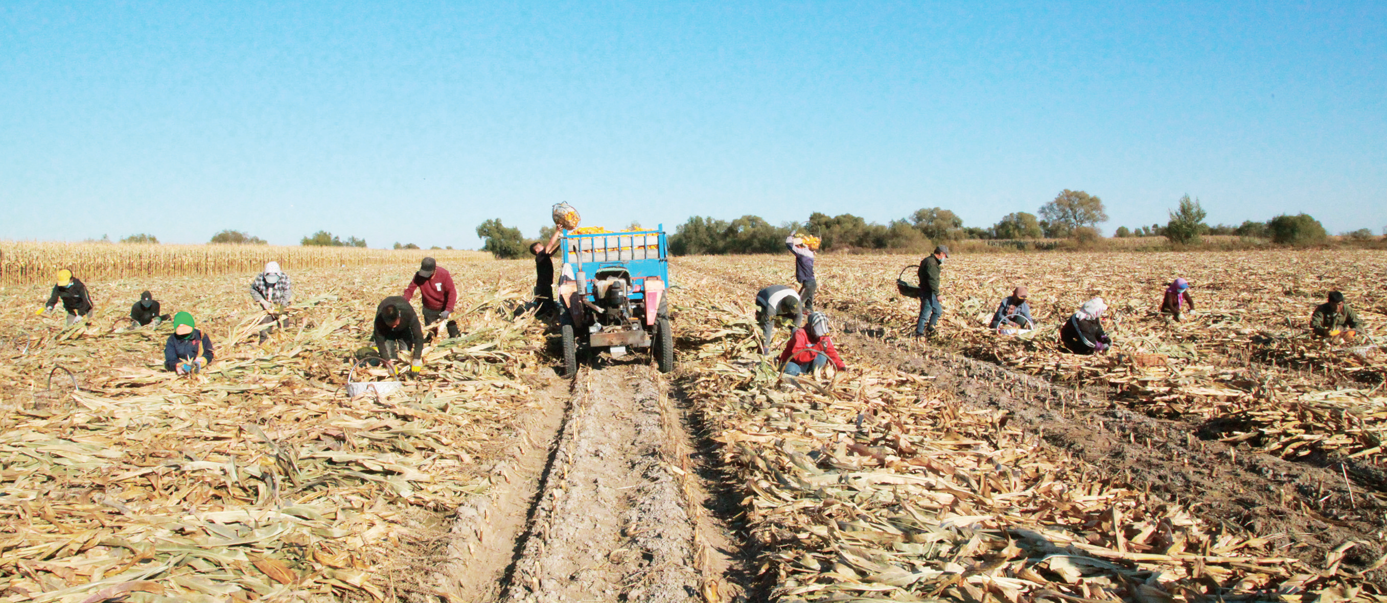 QQ图片20211108091900.png QQ图片20211108091900.png