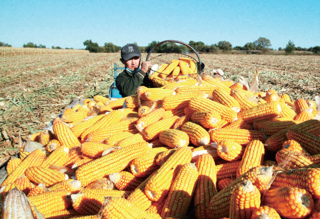 QQ图片20211108091906.png QQ图片20211108091906.png