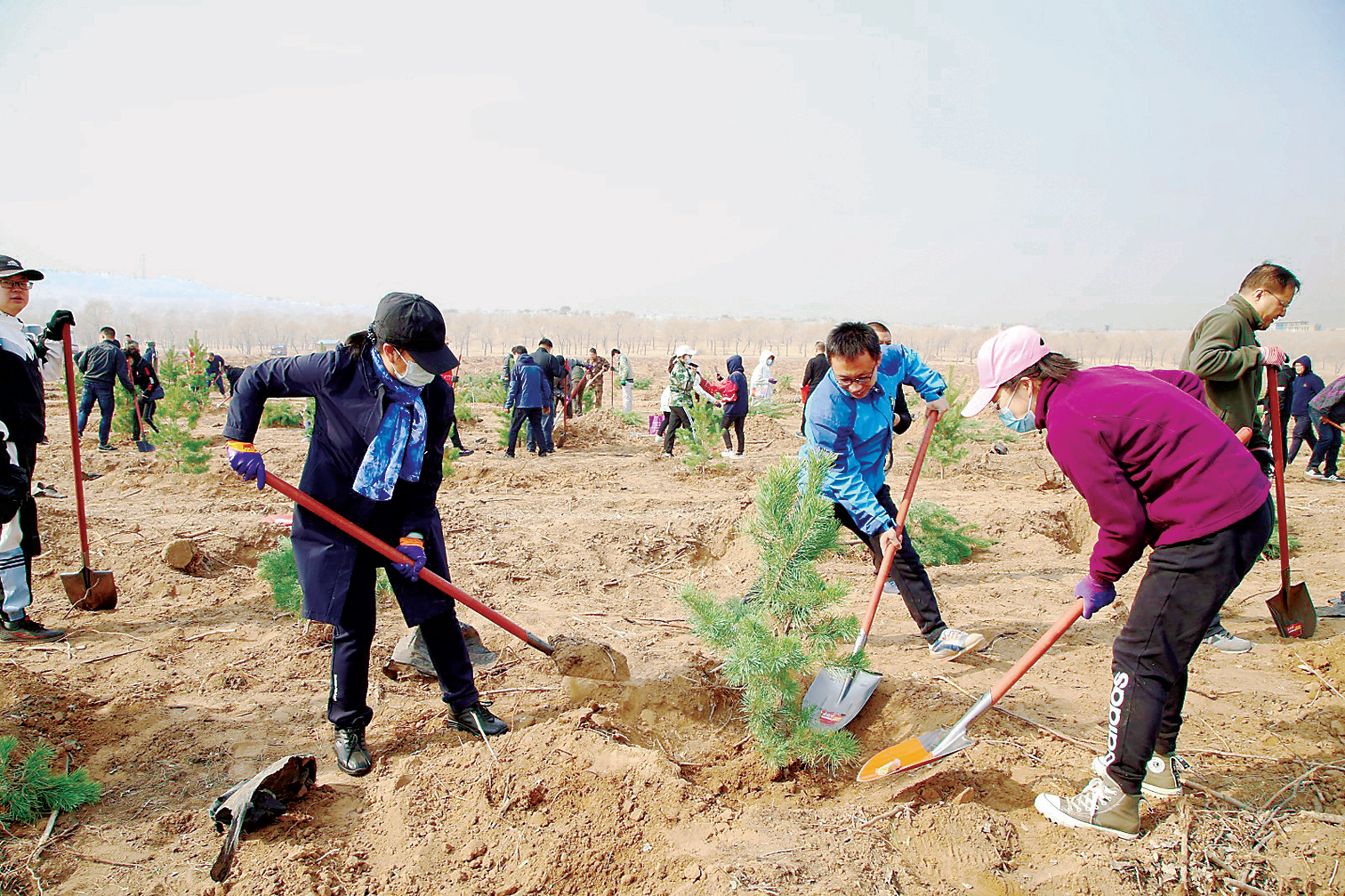 QQ图片20211112100636.png QQ图片20211112100636.png