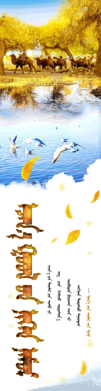 图片6.png 图片6.png