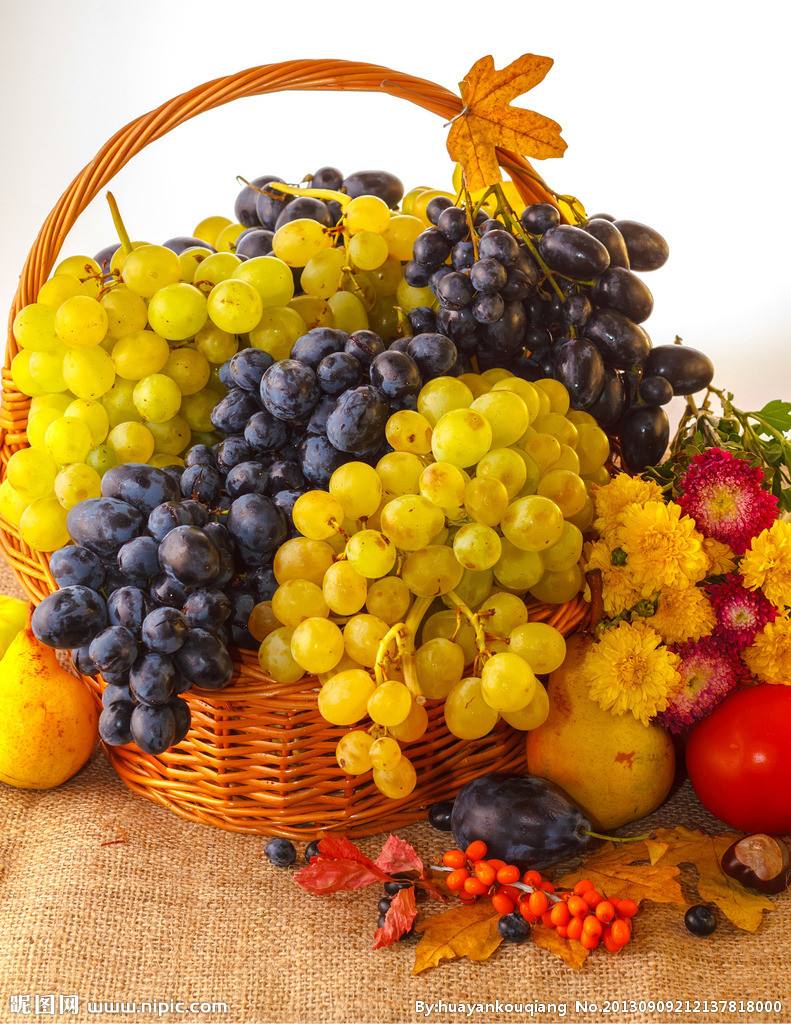 src=http___pic33.nipic.com_20130909_668573_212137818000_2.jpg&refer=http___pic33.nipic (1).jpg