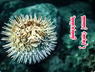 QQ截图20220121100806.jpg QQ截图20220121100806.jpg