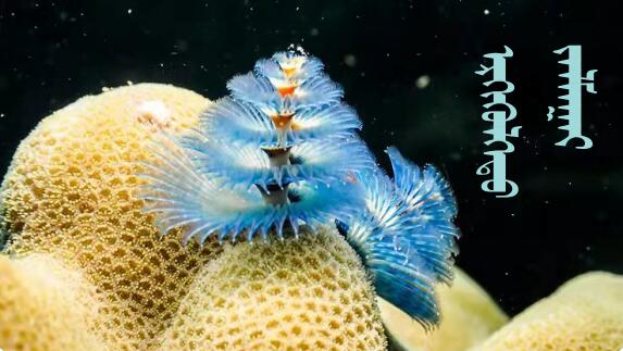 QQ截图20220121100910.jpg QQ截图20220121100910.jpg