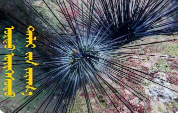 QQ截图20220121100959.jpg QQ截图20220121100959.jpg