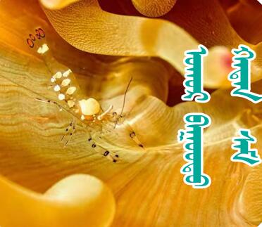 QQ截图20220121101048.jpg QQ截图20220121101048.jpg