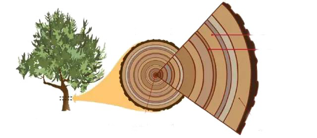 QQ图片20220121162107.png QQ图片20220121162107.png