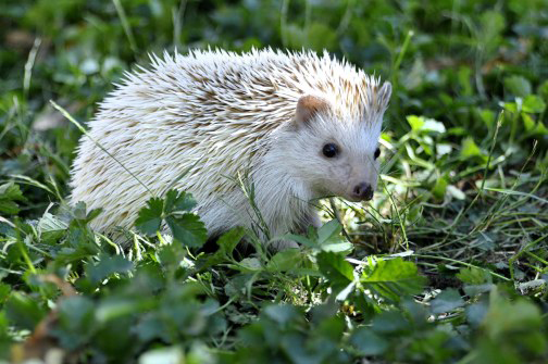 QQ图片20220121162433.png QQ图片20220121162433.png