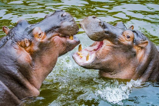 QQ图片20220121162439.png QQ图片20220121162439.png