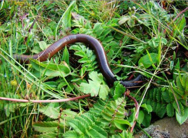 QQ图片20220121162426.png QQ图片20220121162426.png