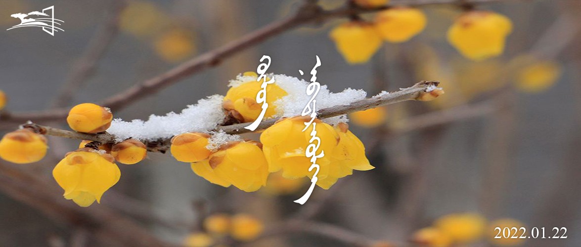 100新 语音播报 封面.jpg