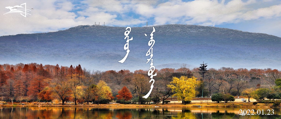 100新 语音播报 封面.jpg