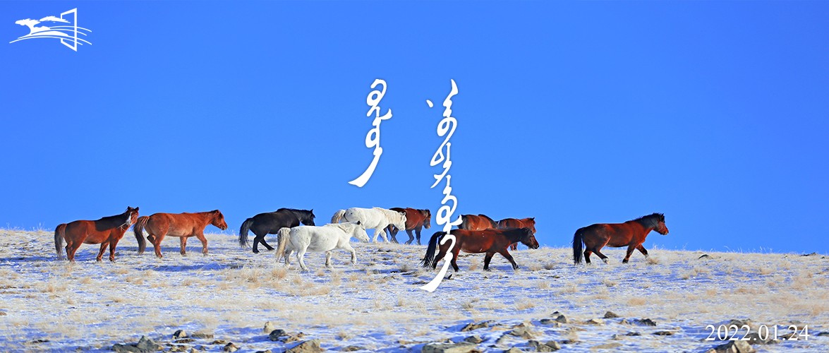 100新 语音播报 封面.jpg 100新 语音播报 封面.jpg