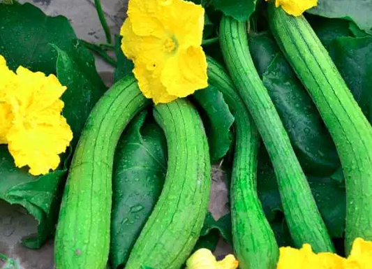 微信图片_20220523111915.png 微信图片_20220523111915.png