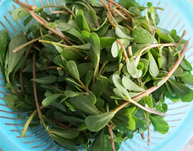 微信图片_20220523111919.png 微信图片_20220523111919.png