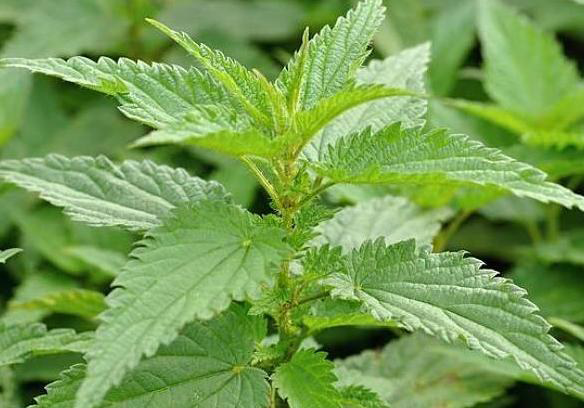 QQ图片20220718132012.png QQ图片20220718132012.png