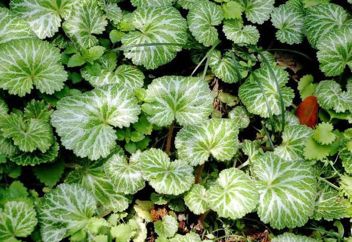 QQ图片20220718132025.png QQ图片20220718132025.png