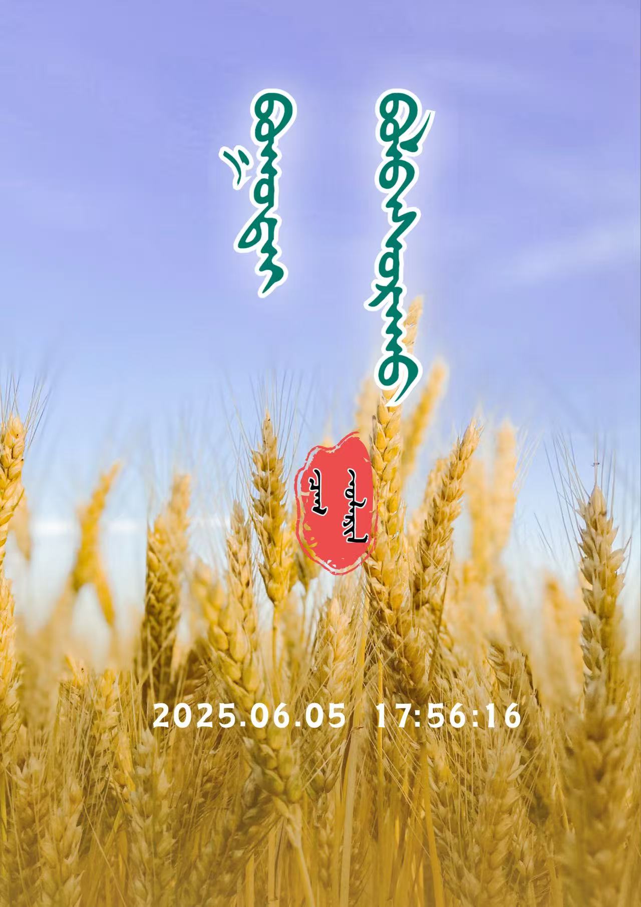 微信图片_20250604200808.jpg 微信图片_20250604200808.jpg