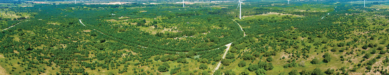 QQ20250805-095420.png QQ20250805-095420.png