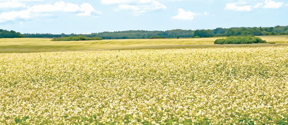 QQ截图20250825102238.png QQ截图20250825102238.png