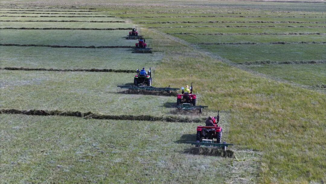 640 (6).jpg 640 (6).jpg