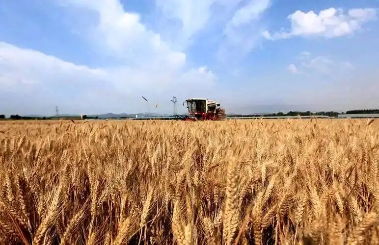 640 (7).jpg 640 (7).jpg