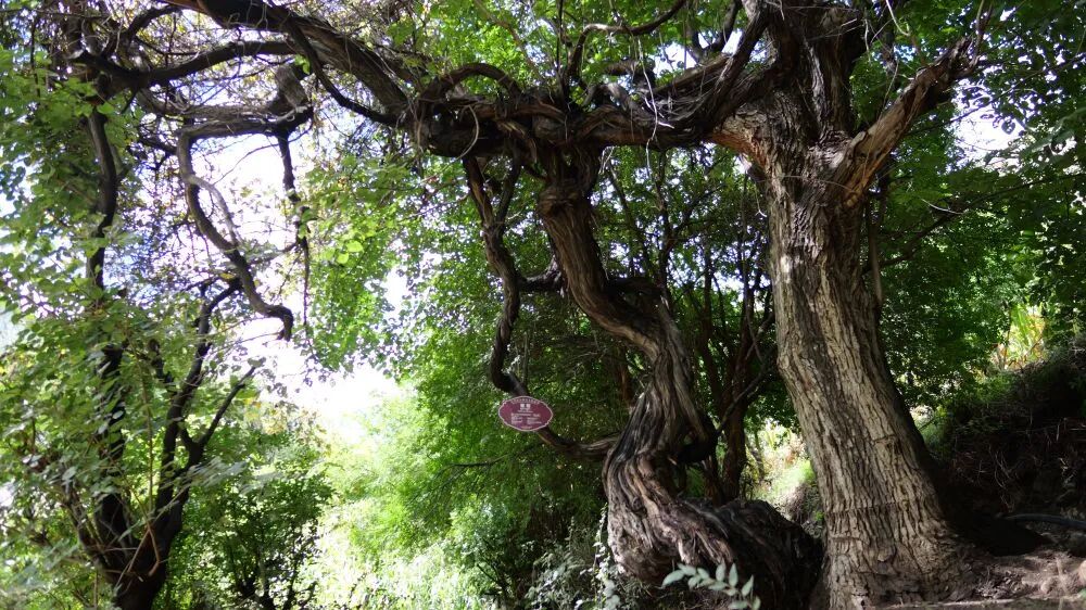 640 (1).jpg 640 (1).jpg