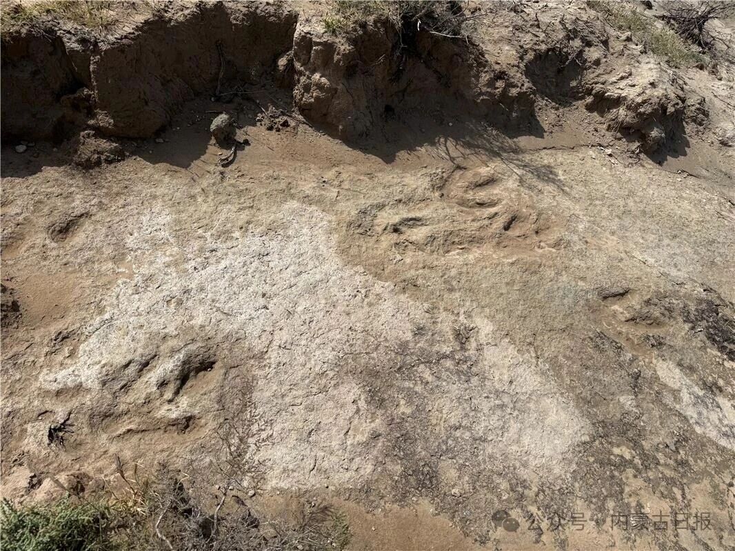 微信图片_20250916092239.jpg 微信图片_20250916092239.jpg