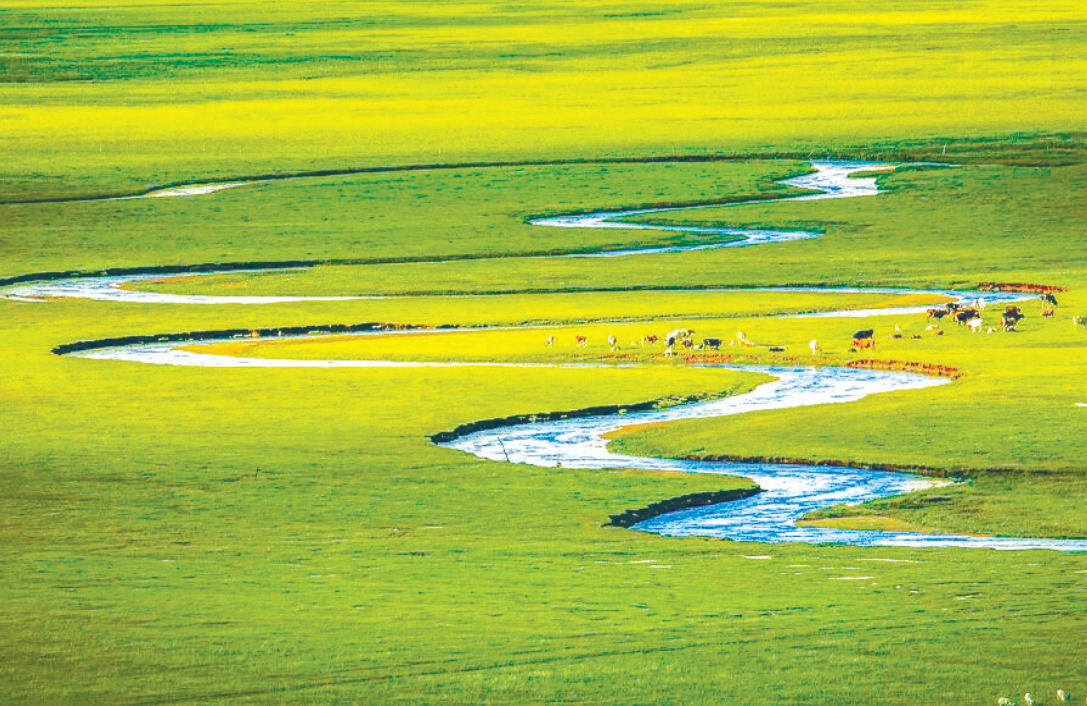 f35ae79d-d1d0-40d1-8718-866669714b79.png f35ae79d-d1d0-40d1-8718-866669714b79.png