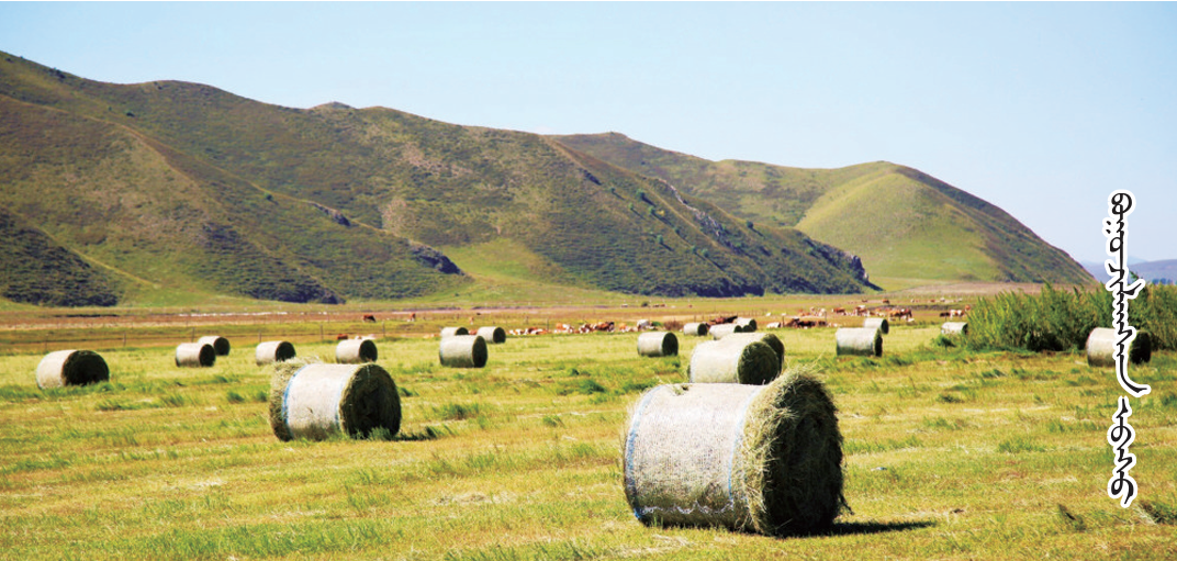 QQ截图20250828104401.png QQ截图20250828104401.png