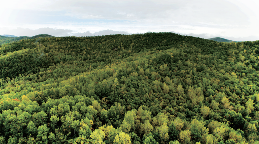 QQ20251112-112920.png QQ20251112-112920.png