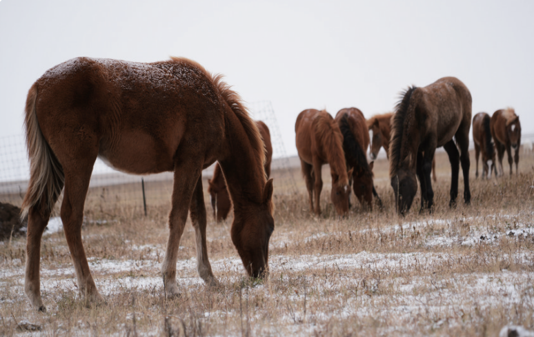 QQ20251112-113013.png QQ20251112-113013.png